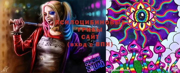 ешки Богородск