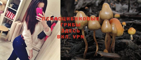 хмурый Богородицк