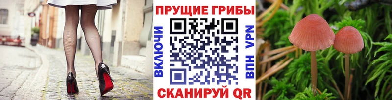 Псилоцибиновые грибы прущие грибы  как найти наркотики  сайты даркнета наркотические препараты  Дно 